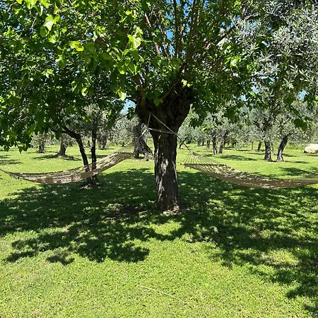 Il Casaletto -