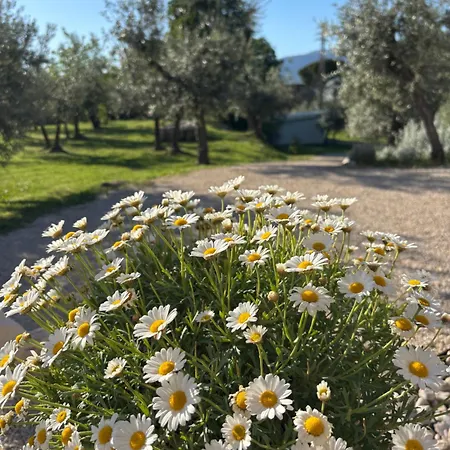Il Casaletto - Lejlighed Terni