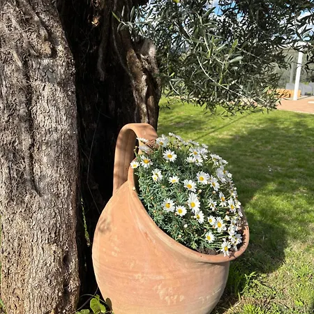Appartamento Il Casaletto -